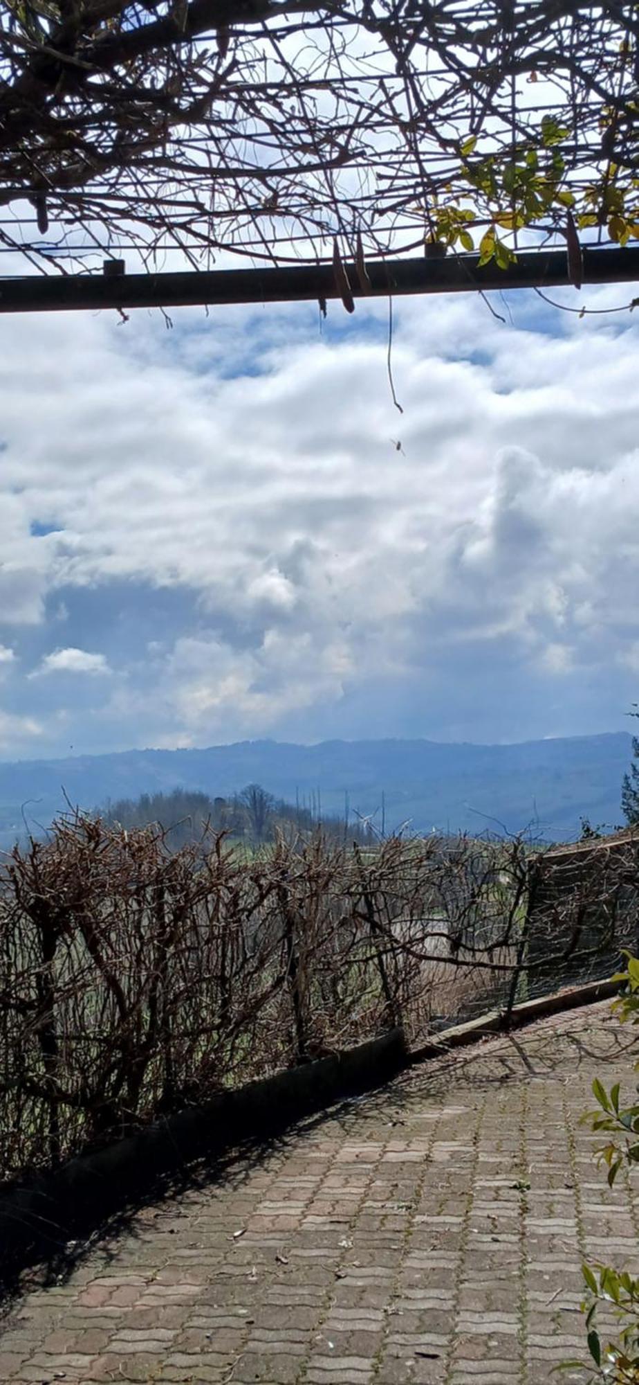 Casa Vacanza Il Colle Del Vento Calosso Екстер'єр фото